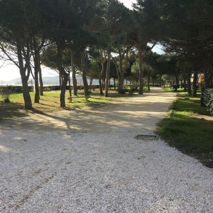 ארגלס-סור-מר F3 Classe Meuble Tourisme "Gites De France" A 80 Metres De La Plage מראה חיצוני תמונה